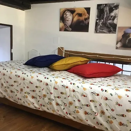 L’angolo Di Silvia *